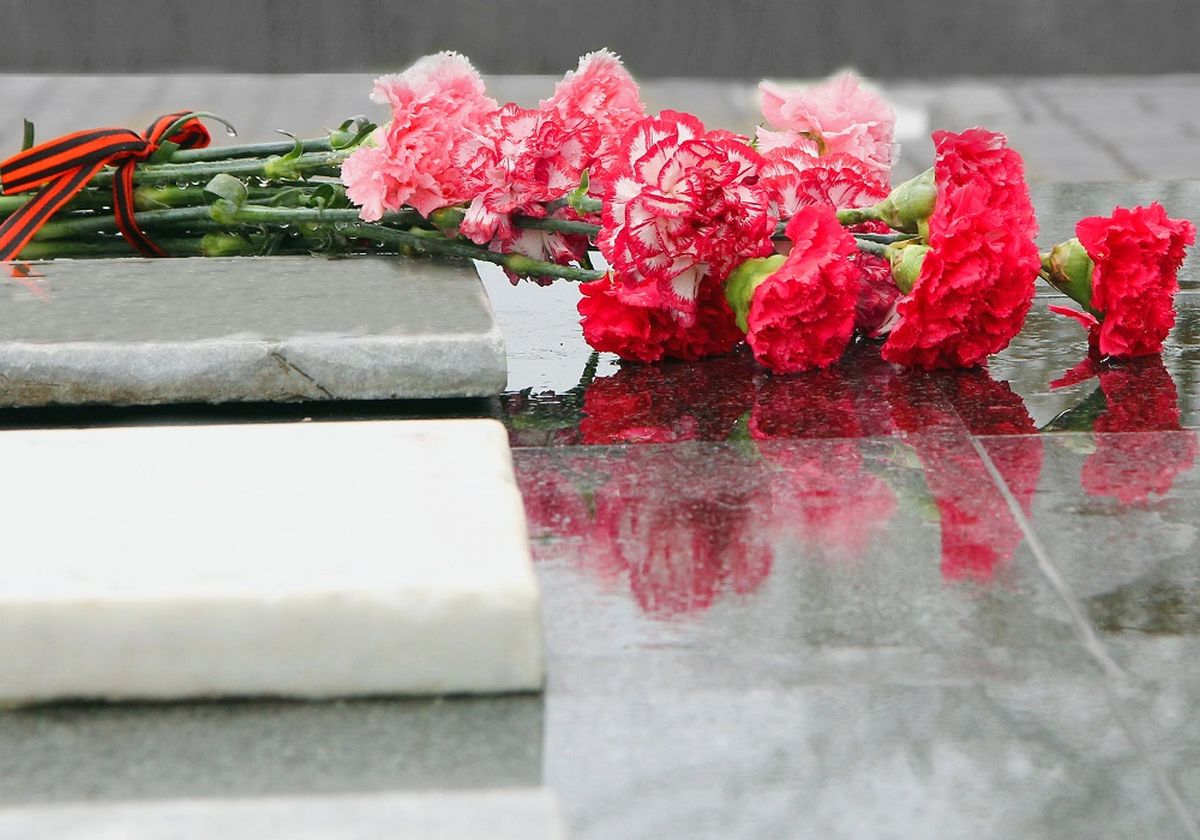 Planujesz zakup kwiatów na cmentarz Sprawdź, jakie rodzaje są najpopularniejsze i najtrwalsze